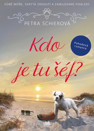 Kdo je tu šéf? - 