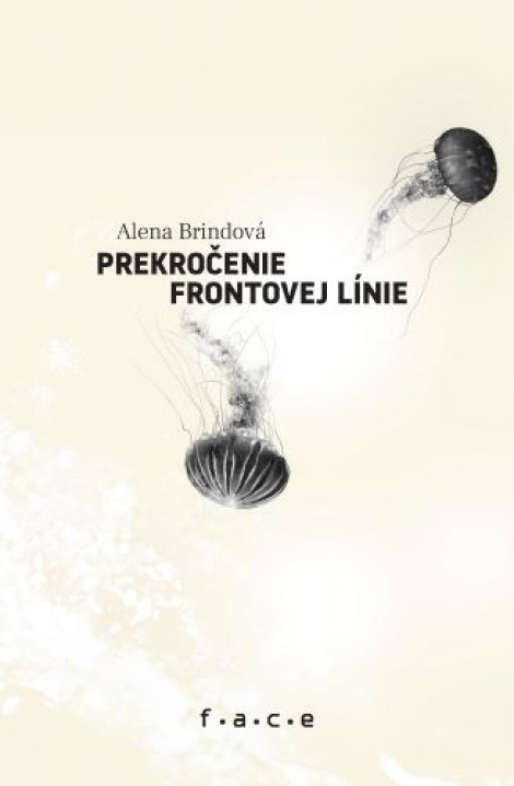 Prekročenie frontovej línie - 