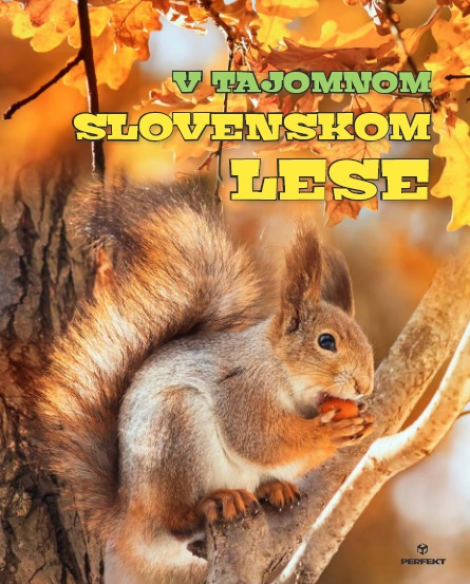 V tajomnom slovenskom lese - 