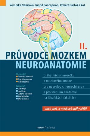 Průvodce mozkem – Neuroanatomie II. - Anatomie drah míchy, mozečku a mozkového kmene