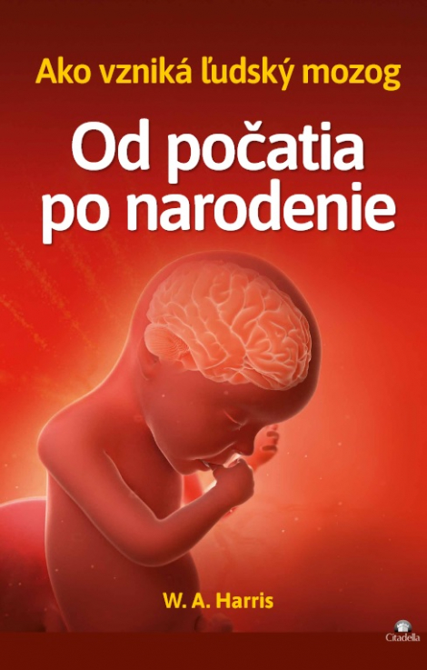 Od počatia po narodenie - Ako vzniká ľudský mozog